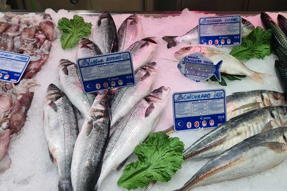 pescaderia-sonia-galeria-fotos-4