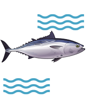 Pescadería Sonia Logroño