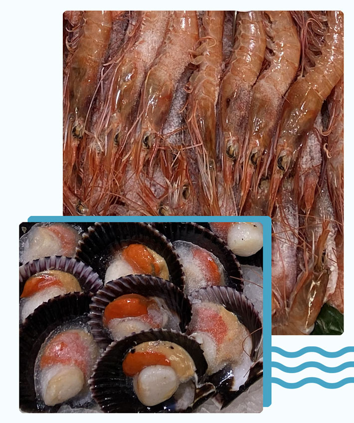Pescadería Sonia Logroño