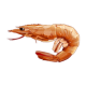 pescaderia-sonia-gambon