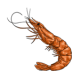 pescaderia-sonia-langostino-cocido